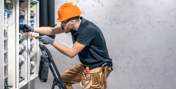 Best Electric Panel Repair  in Moville, IA